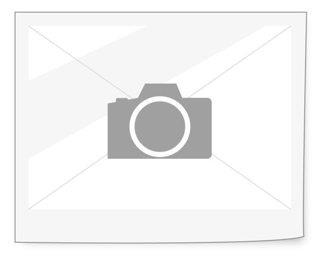 SHER-E-PUNJ PLAIN ROTI 10X500 GM